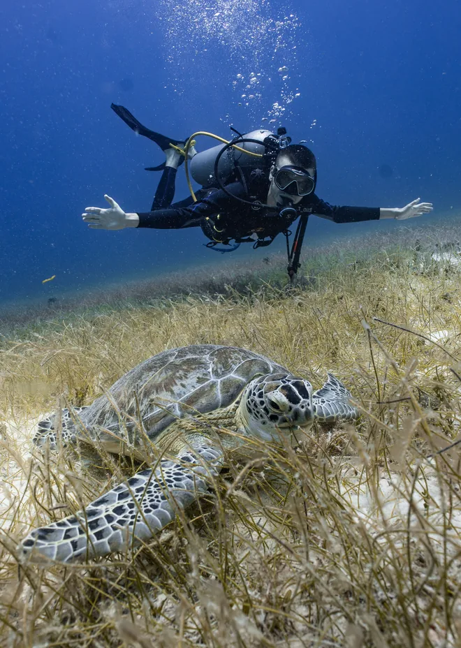 Bautismo de buceo