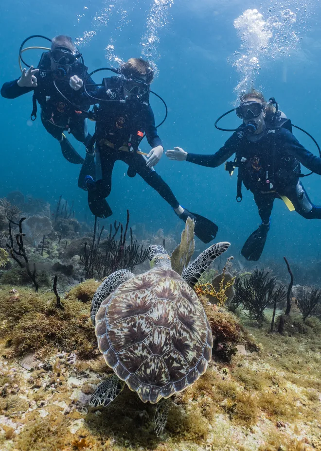 Scuba diving