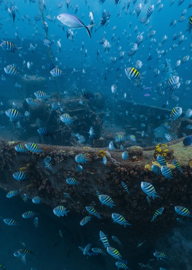 Buceo para buzos certificados