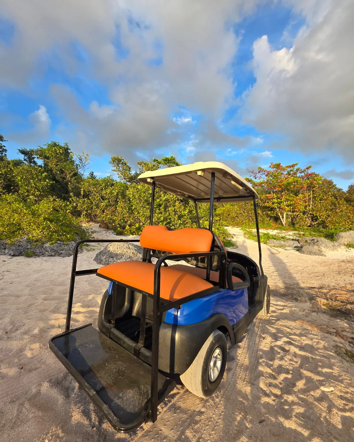 Alquiler de carrito de golf