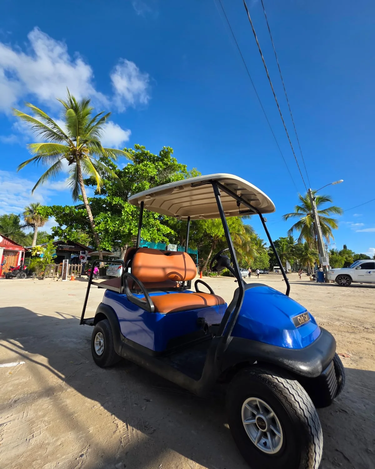 Alquiler de carrito de golf