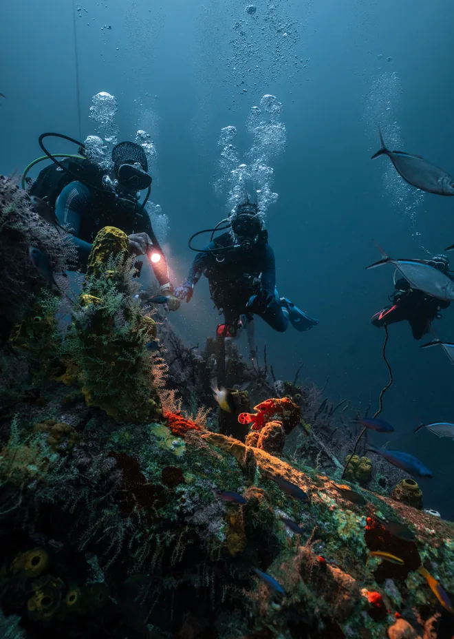 Buceo para buzos certificados