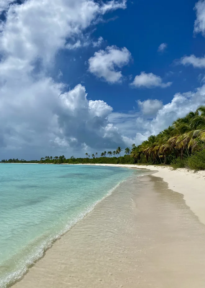 Lancha privada a Saona