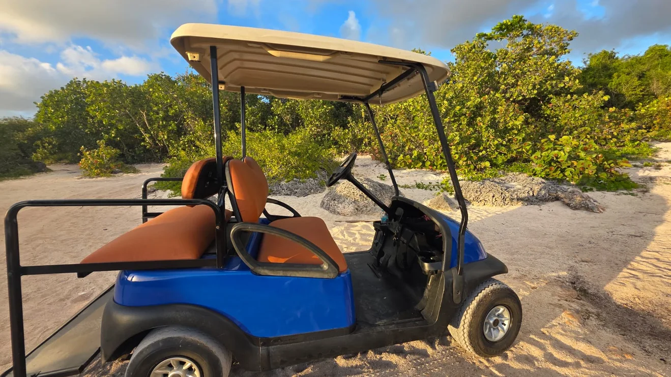 Alquiler de carrito de golf