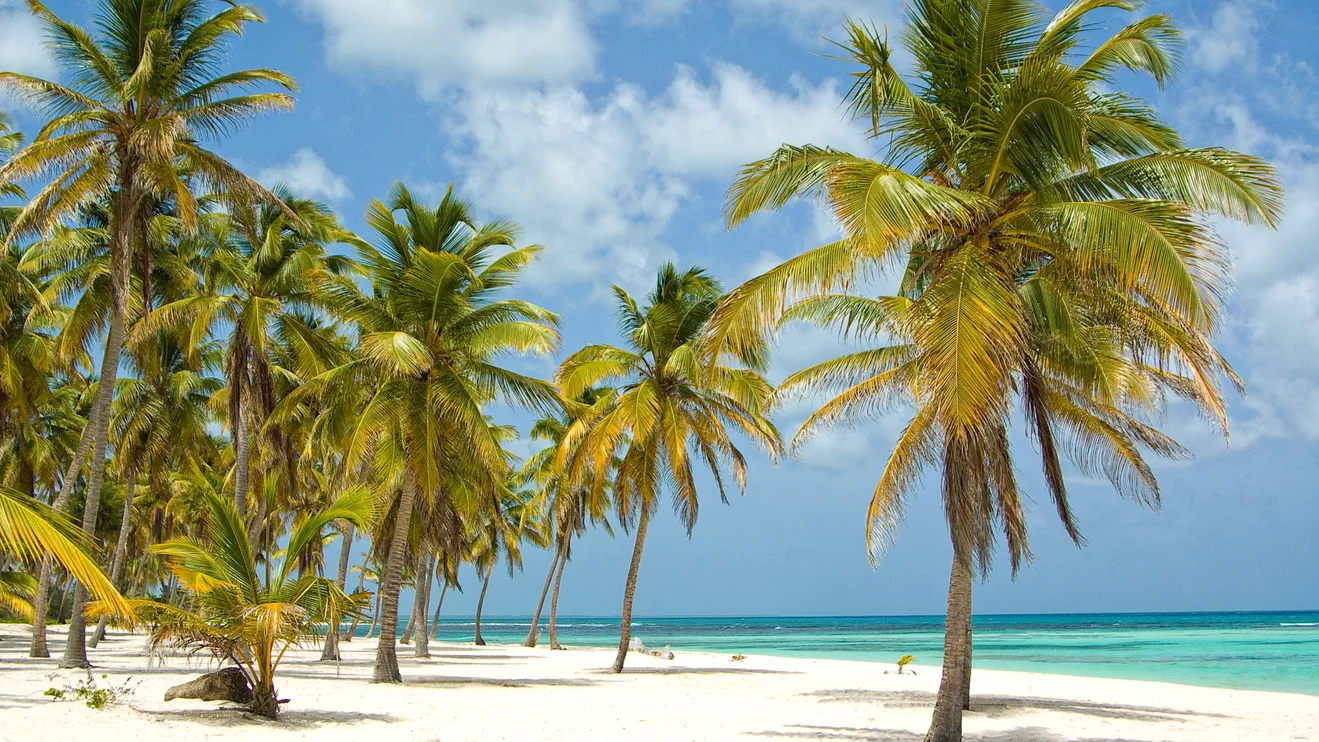 Isla Saona