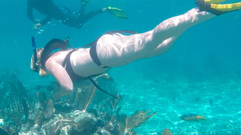 Snorkel en el Barco Hundido Atlantic Princess
