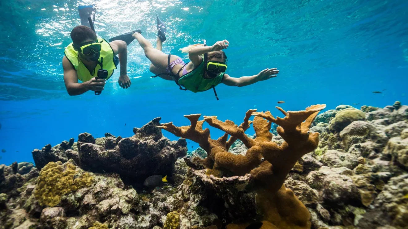 Snorkeling en la Isla Catalina