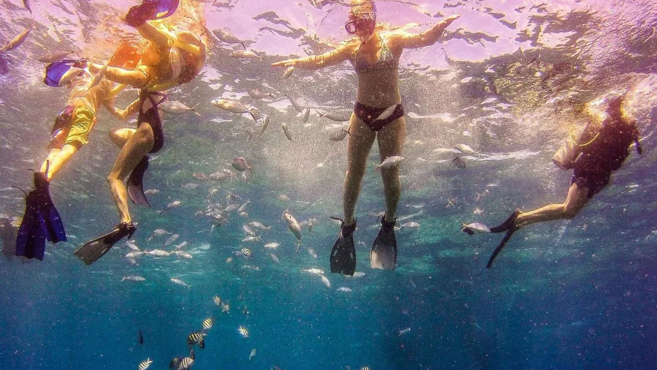 Snorkeling en la Isla Catalina