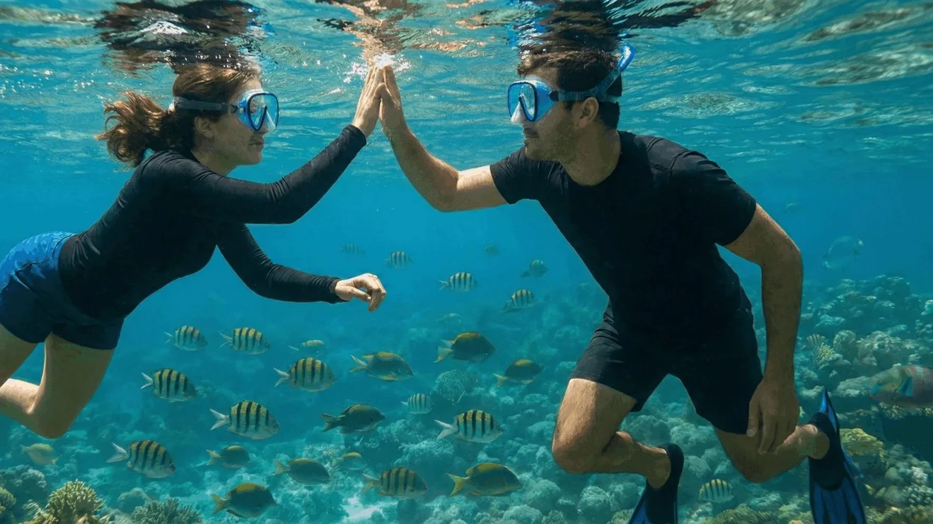 Snorkeling en la Isla Catalina