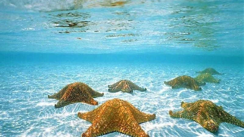 Snorkeling con piscina natural